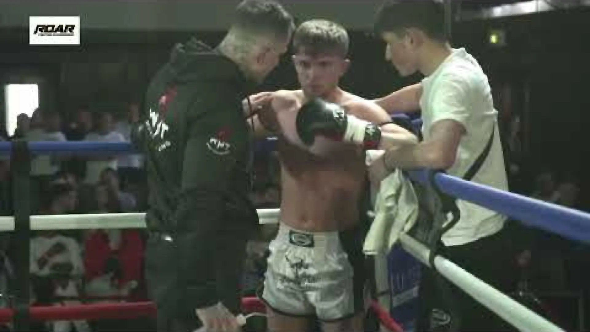 Liam Stacey vs Dec Hollis (Fight Video)