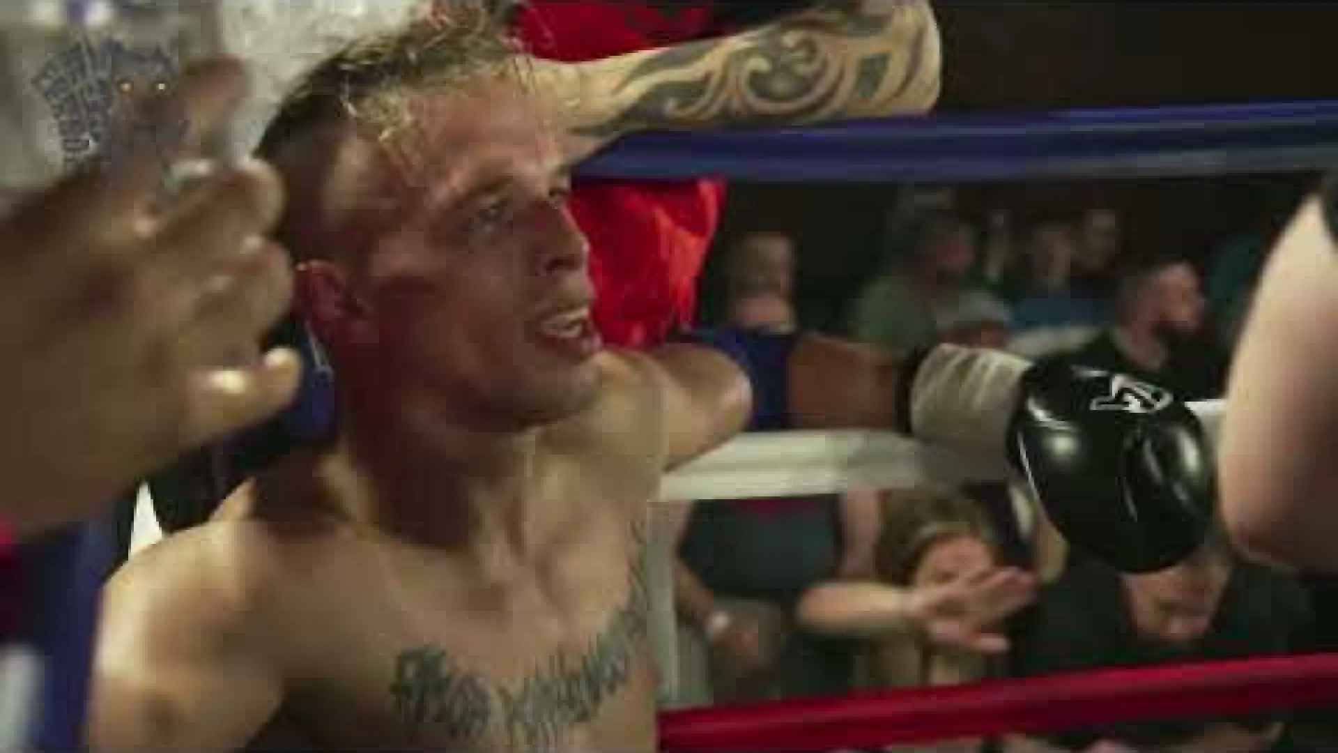 Mateusz Piechocki vs Kris Pearson (Fight Video)