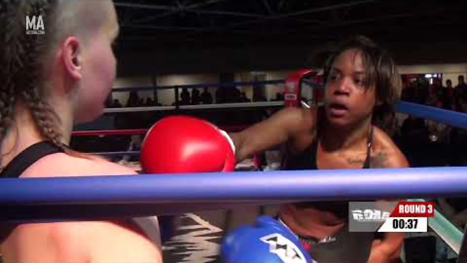 Natalia Nowak vs Daniela Miranda (Fight Video)