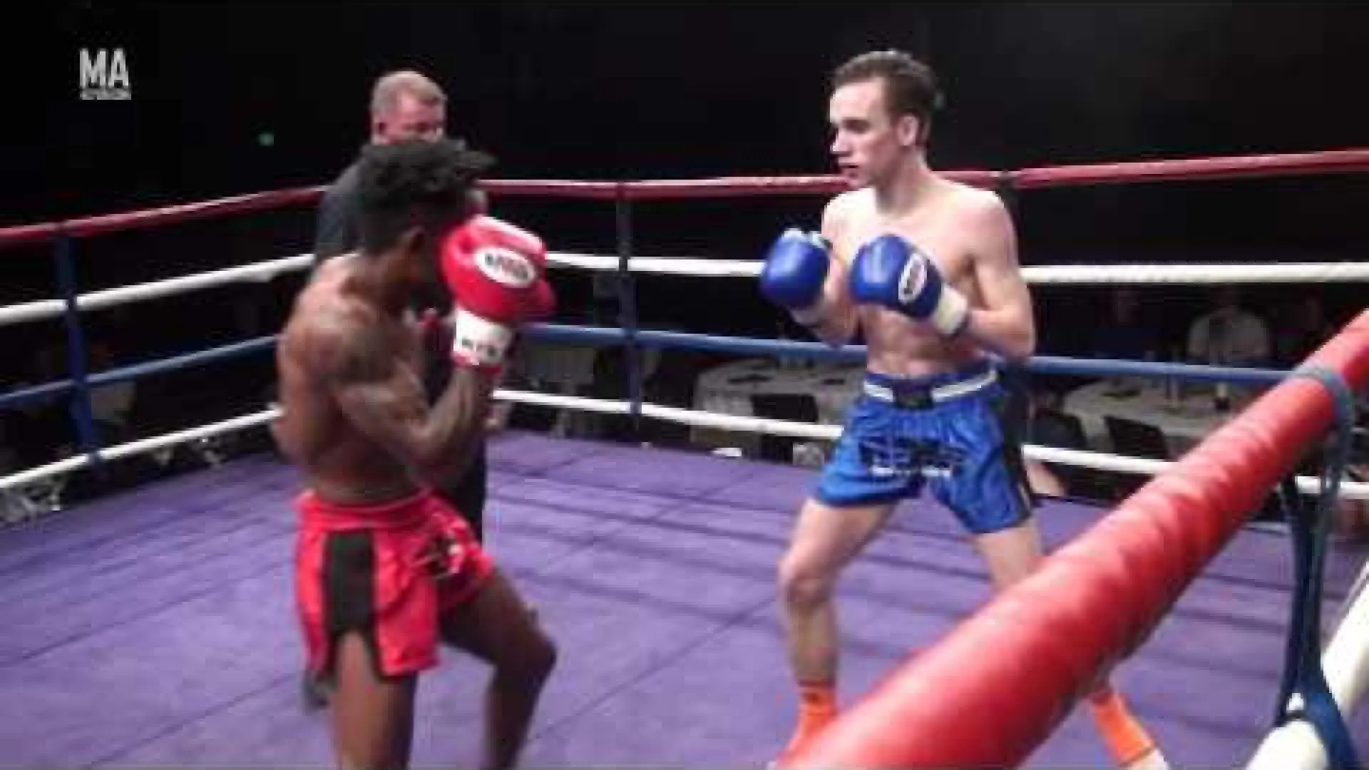 Todd Williams vs Jamil Grant (Fight Video)