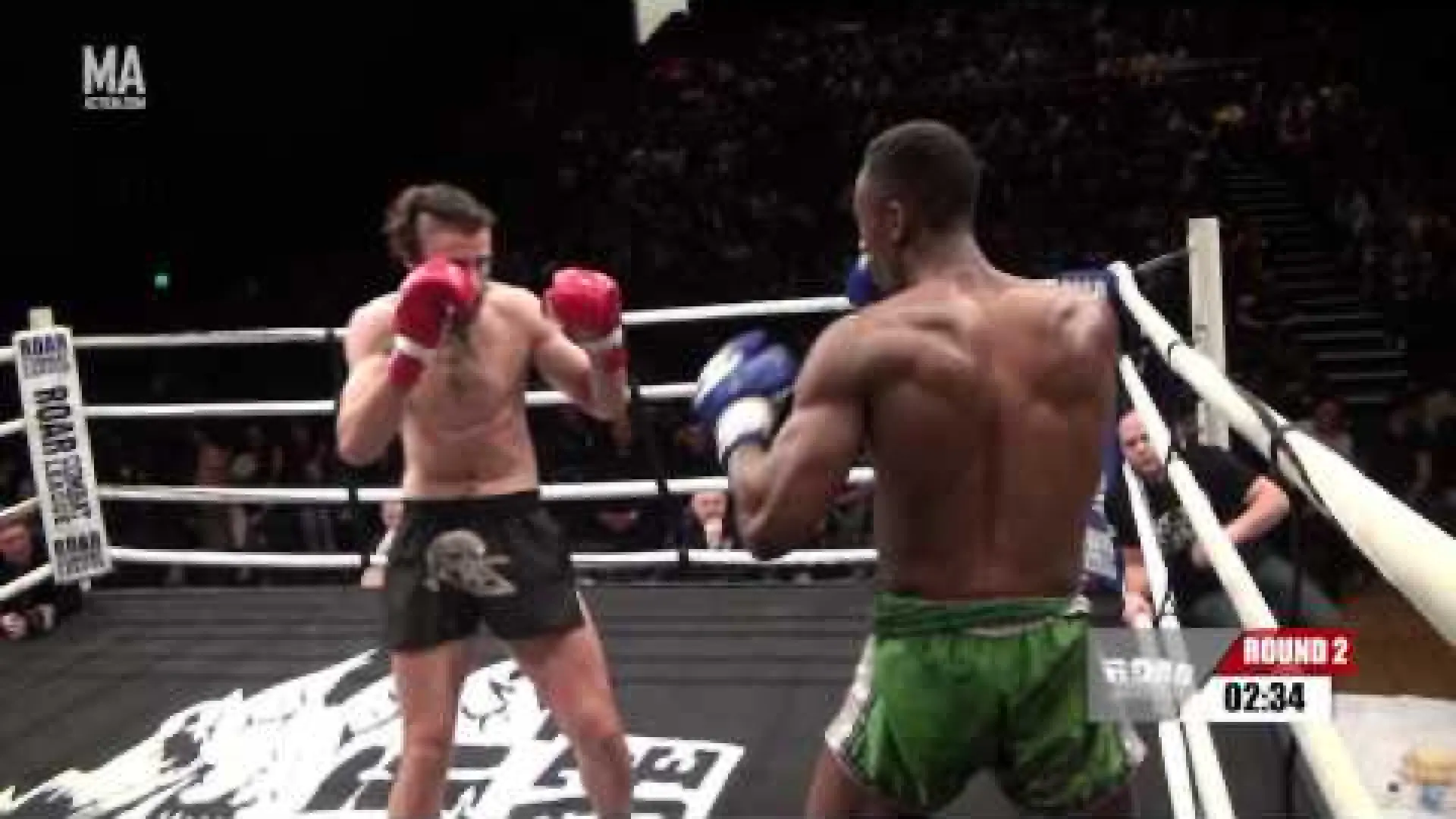 Alex Bublea vs Federico Alfaro (Fight Video)