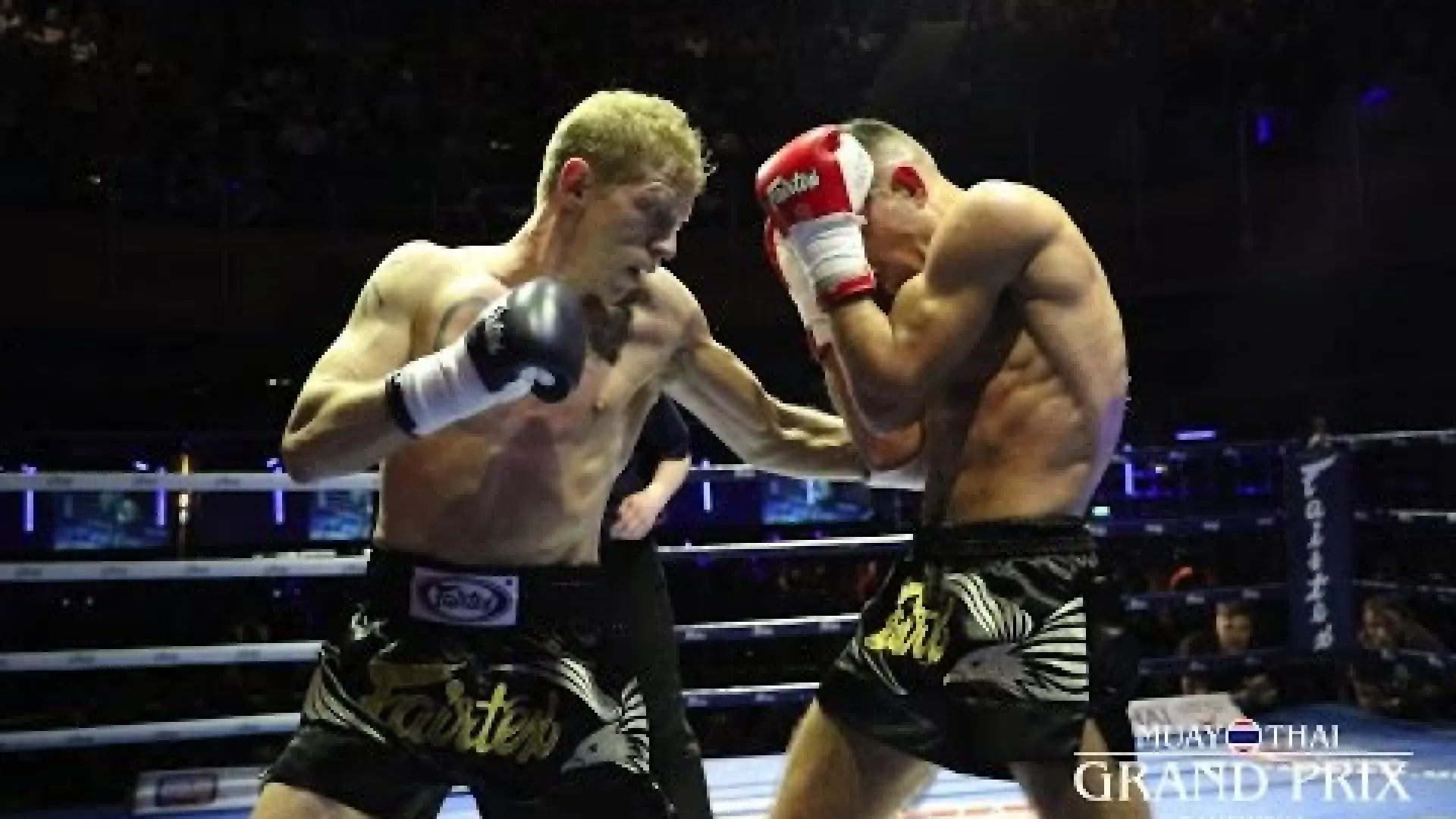 Luke Whelan vs Luca Caputa (Fight Video)