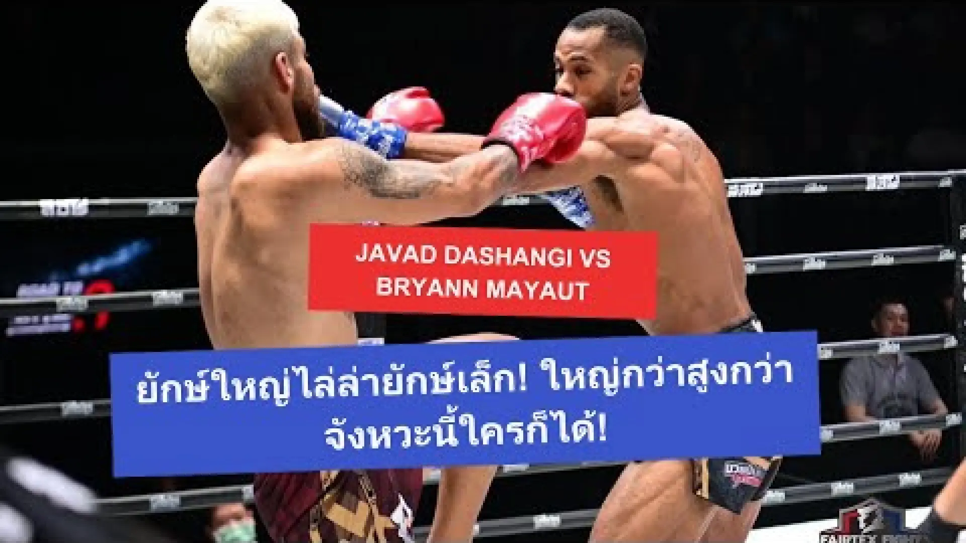 Javad Dashangi vs Bryann Mayaut (Fight Video)