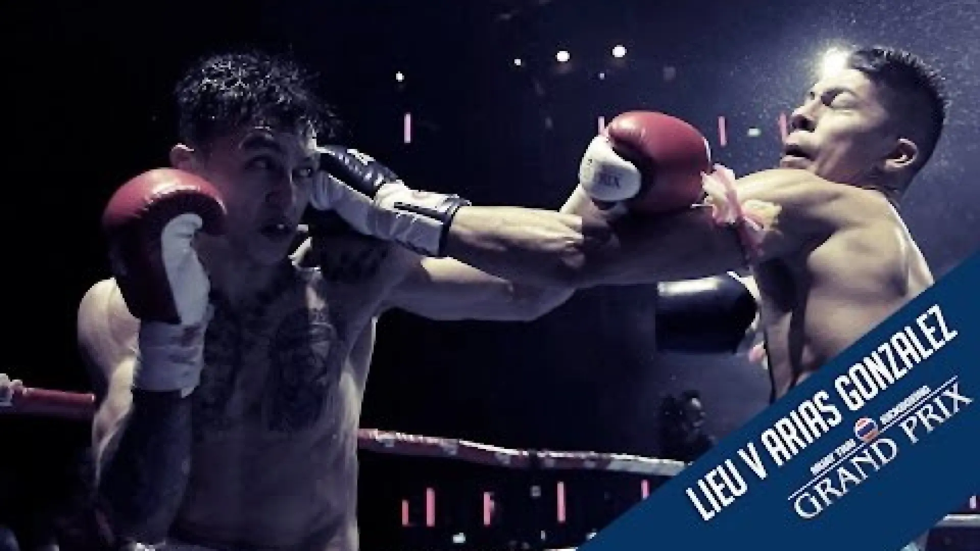 Carlton Lieu vs Julian Arias (Fight Video)