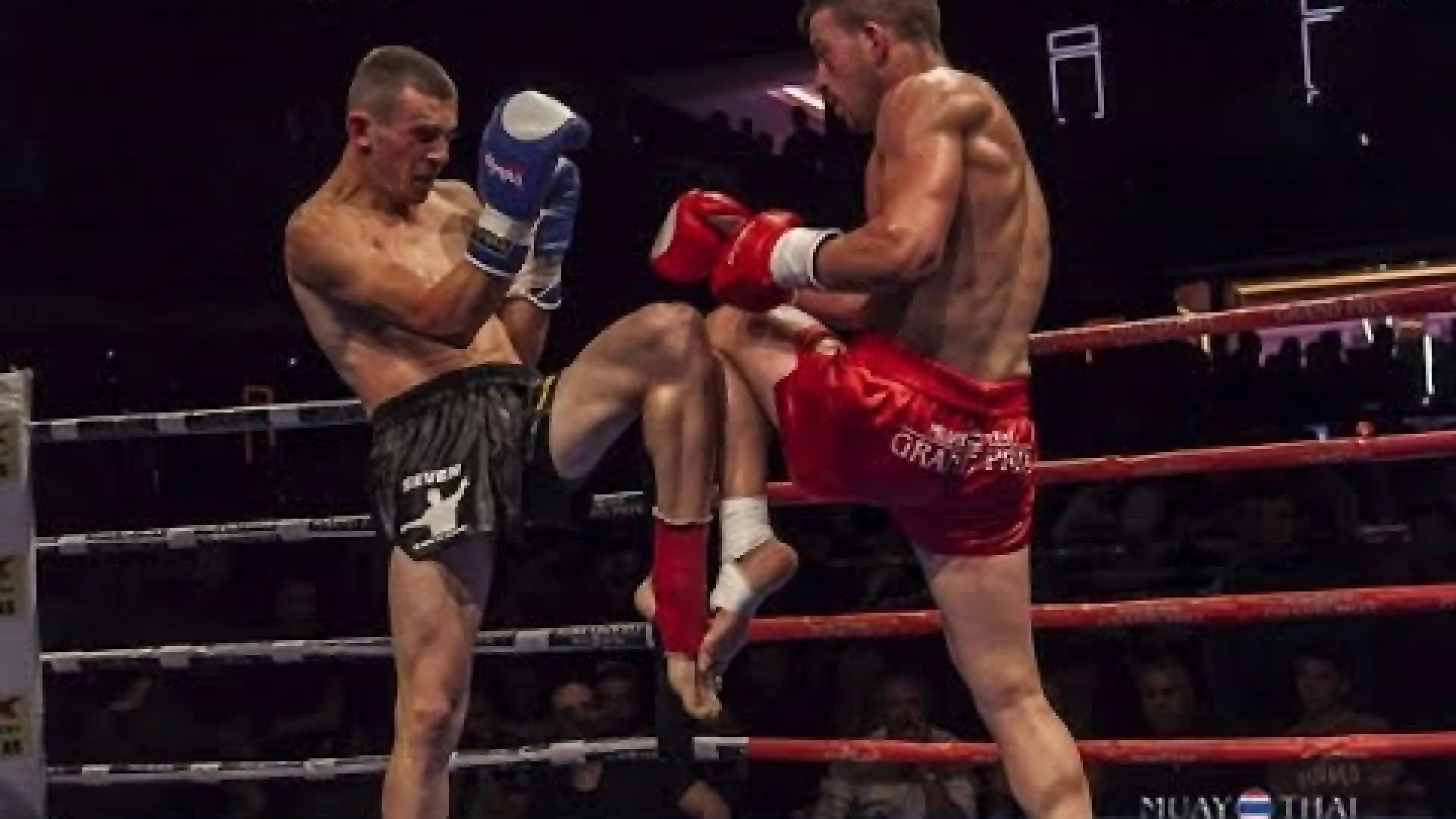 Giannis Papadopoulos vs Eraldo Halilaj (Fight Video)