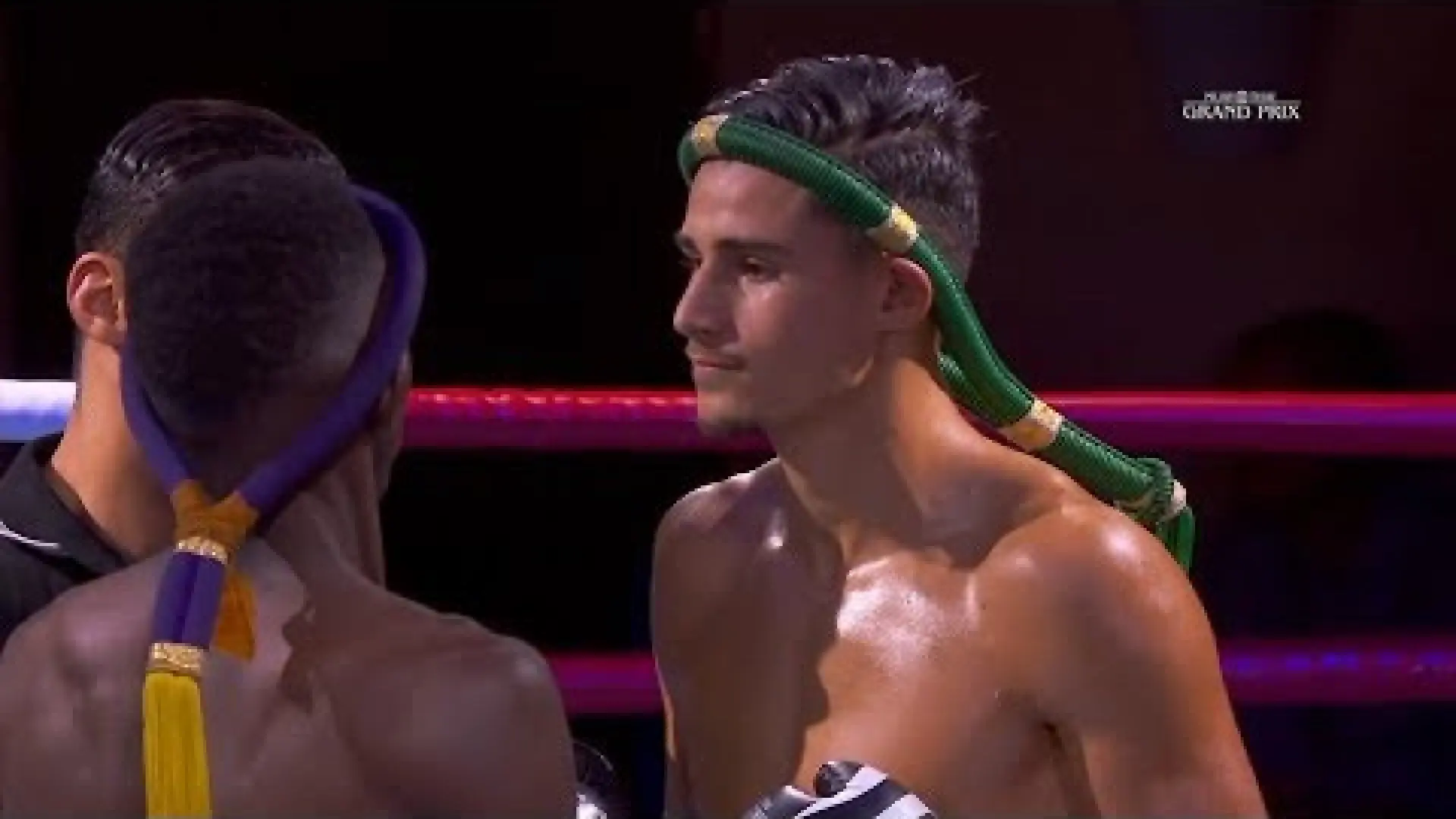 Mandiale Samb vs Elias Mahmoudi (Fight Video)