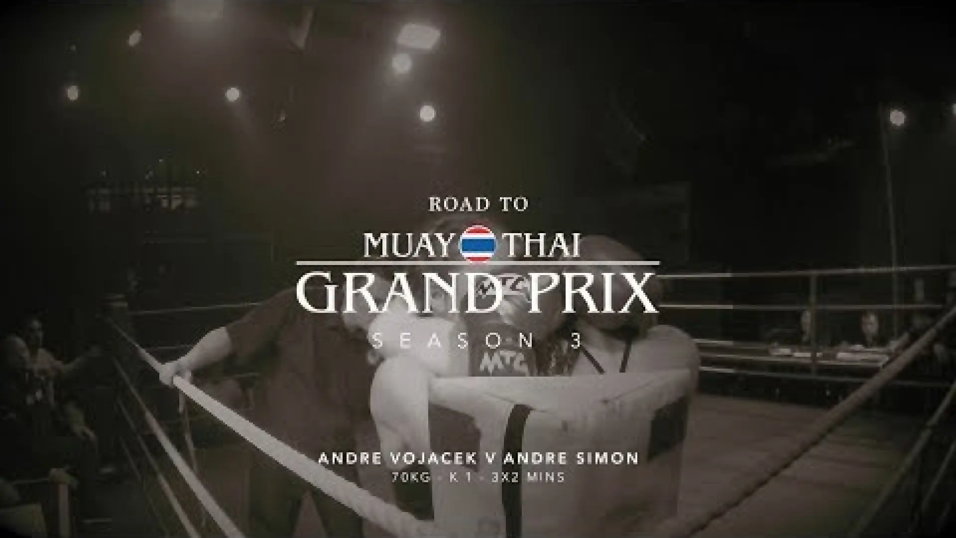 Andre Vojacek vs Andre Simon (Fight Video)