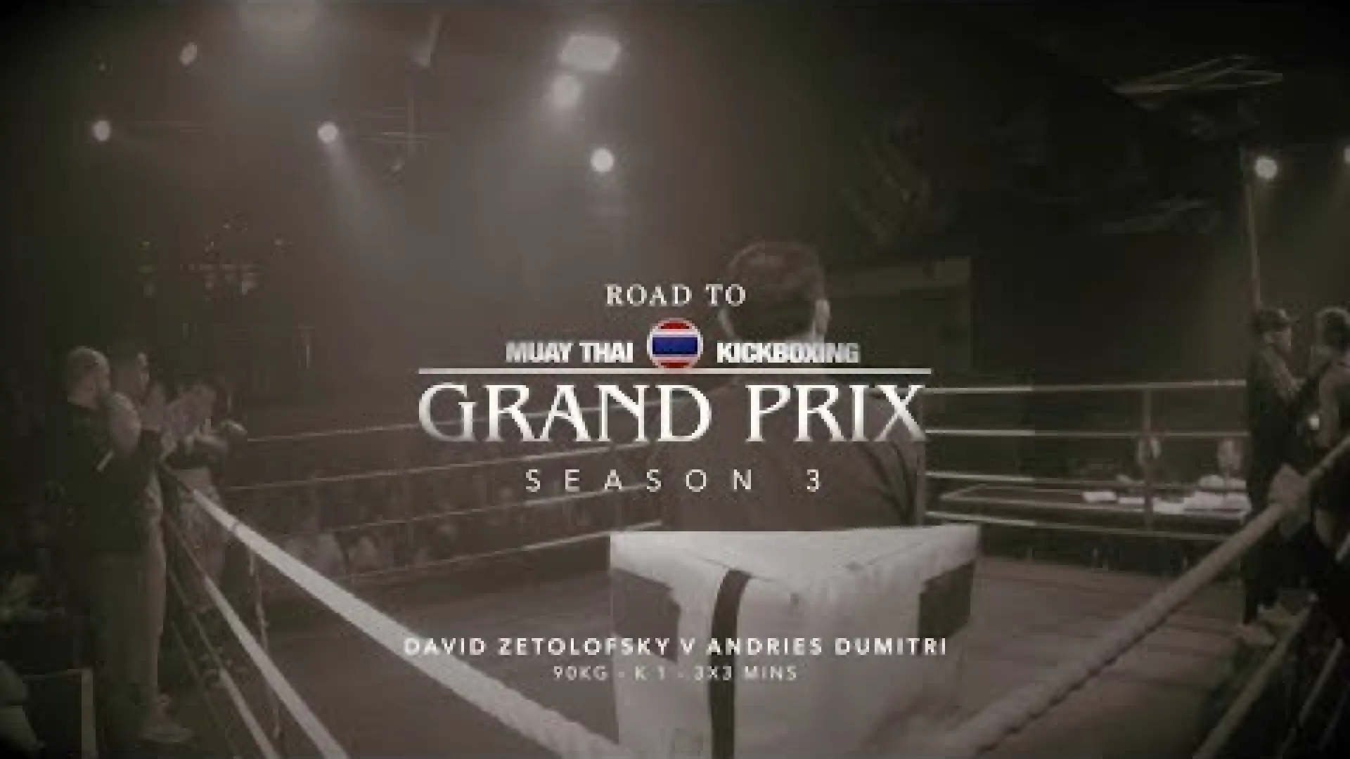 David Zetolofsky vs Andries Dumitri (Fight Video)