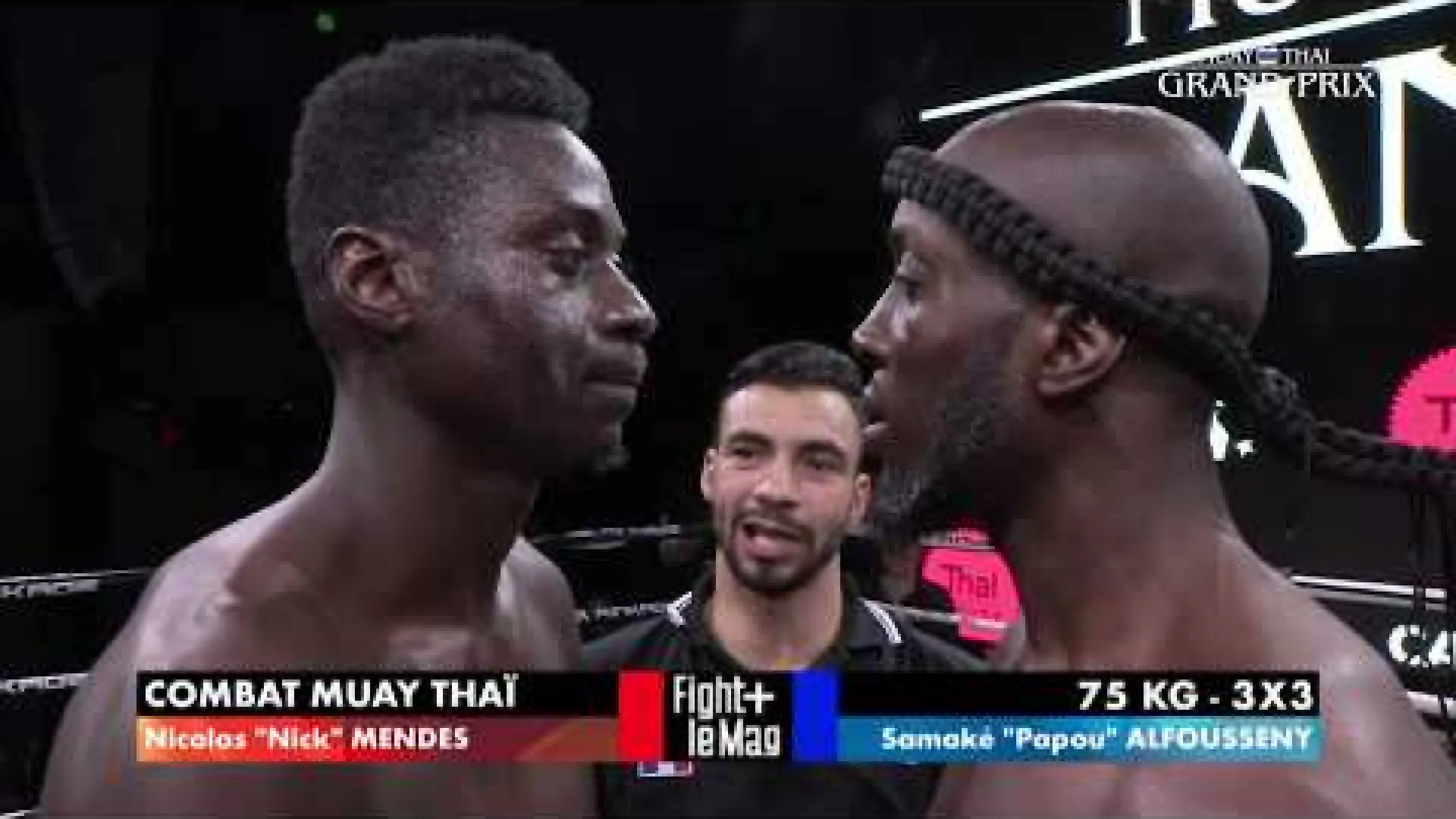 Nicolas Mendes vs Alfousseny Samake (Fight Video)
