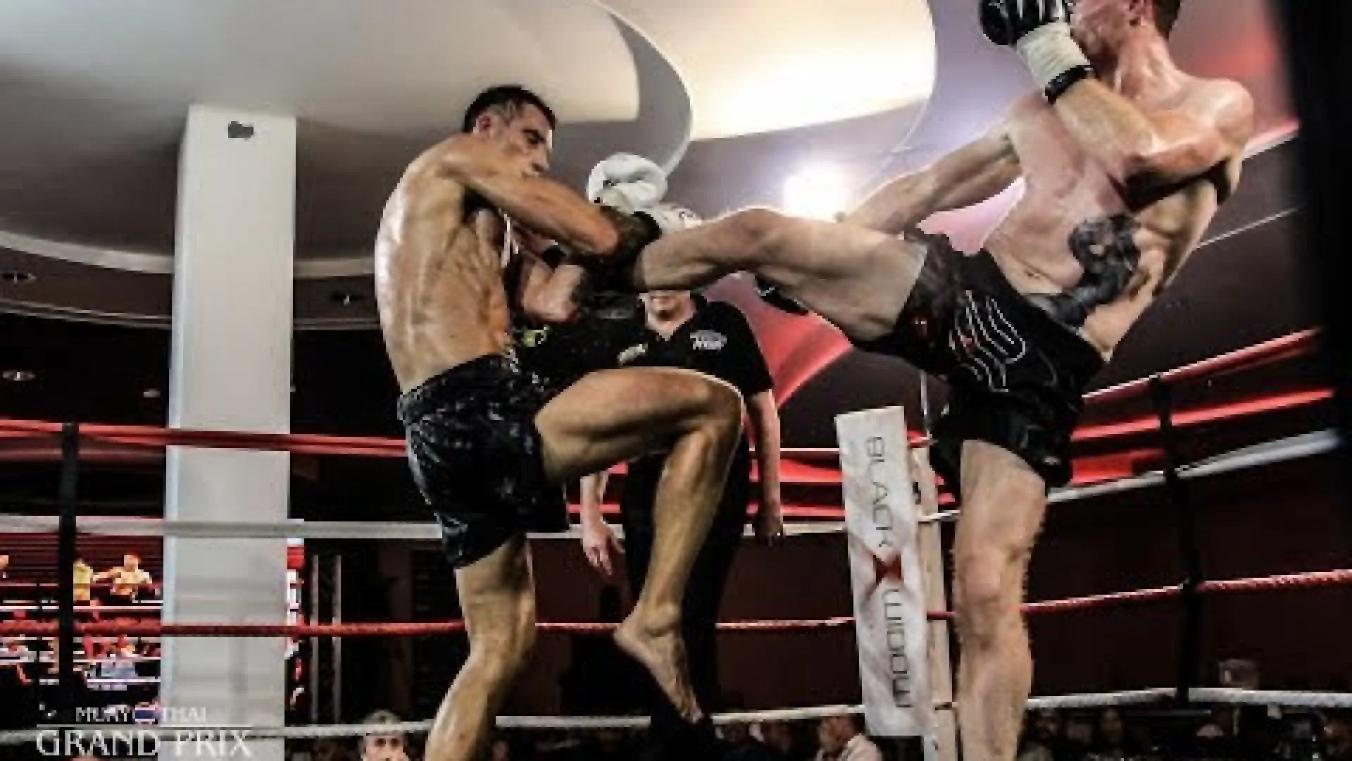Dan Edwards vs Andrea Rizzi (Fight Video)