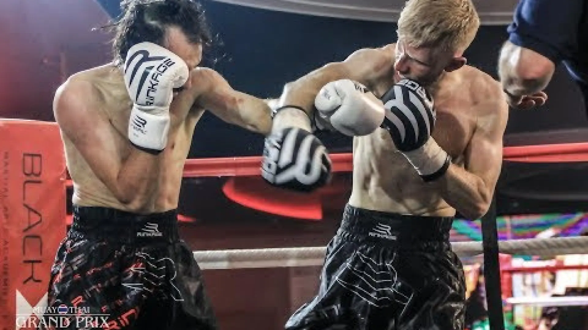 Francesco Festorazzi vs Simon Whitehead (Fight Video)