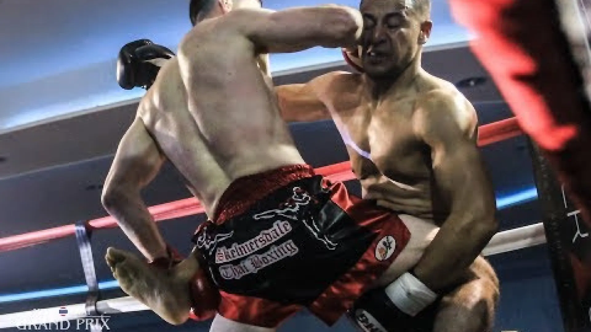 Lewis Stewart vs David Loughlin (Fight Video)