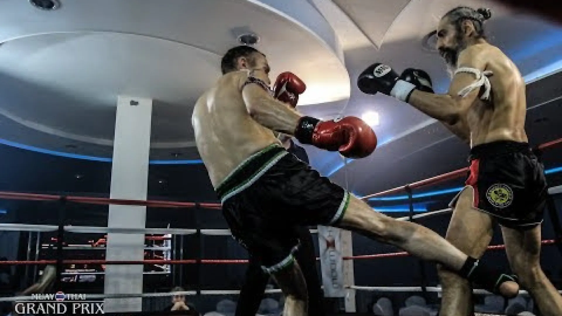 Mike Meegan vs Tajinder Singh Dhillon (Fight Video)