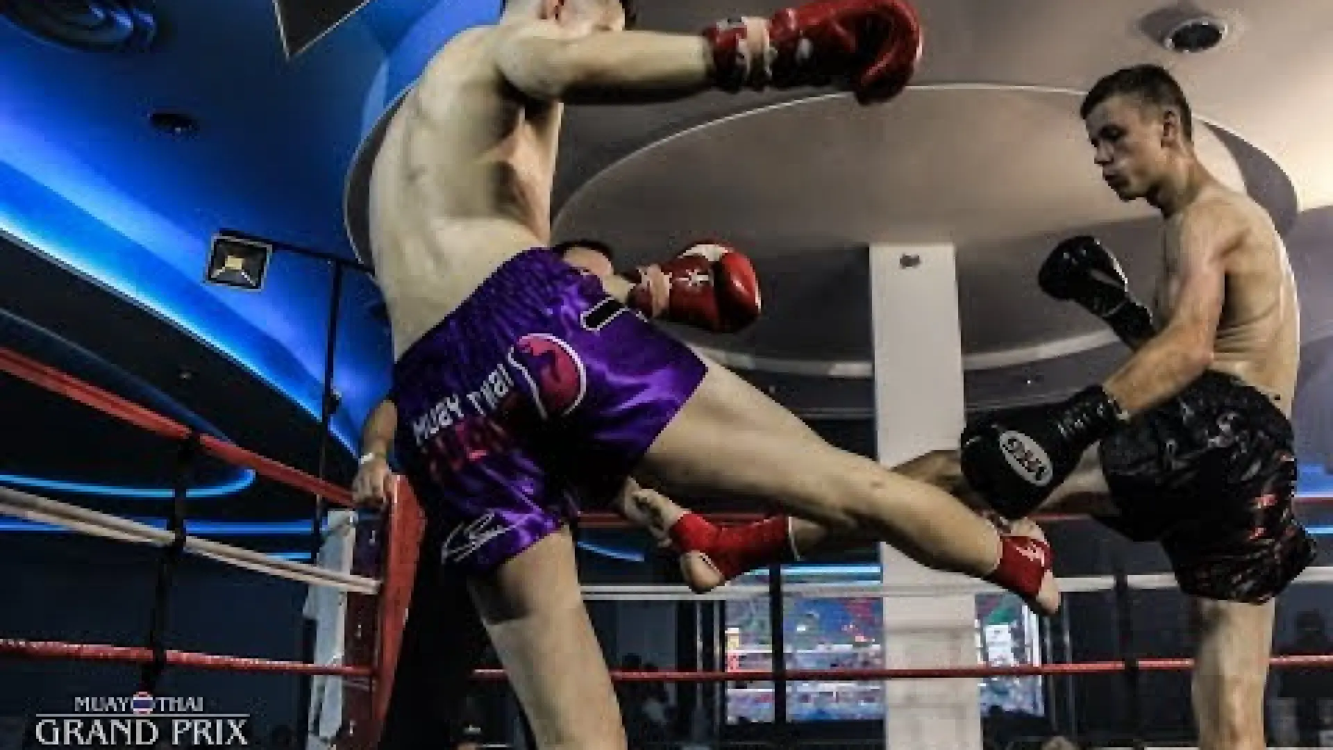 Fin Cook vs Taylor Price (Fight Video)