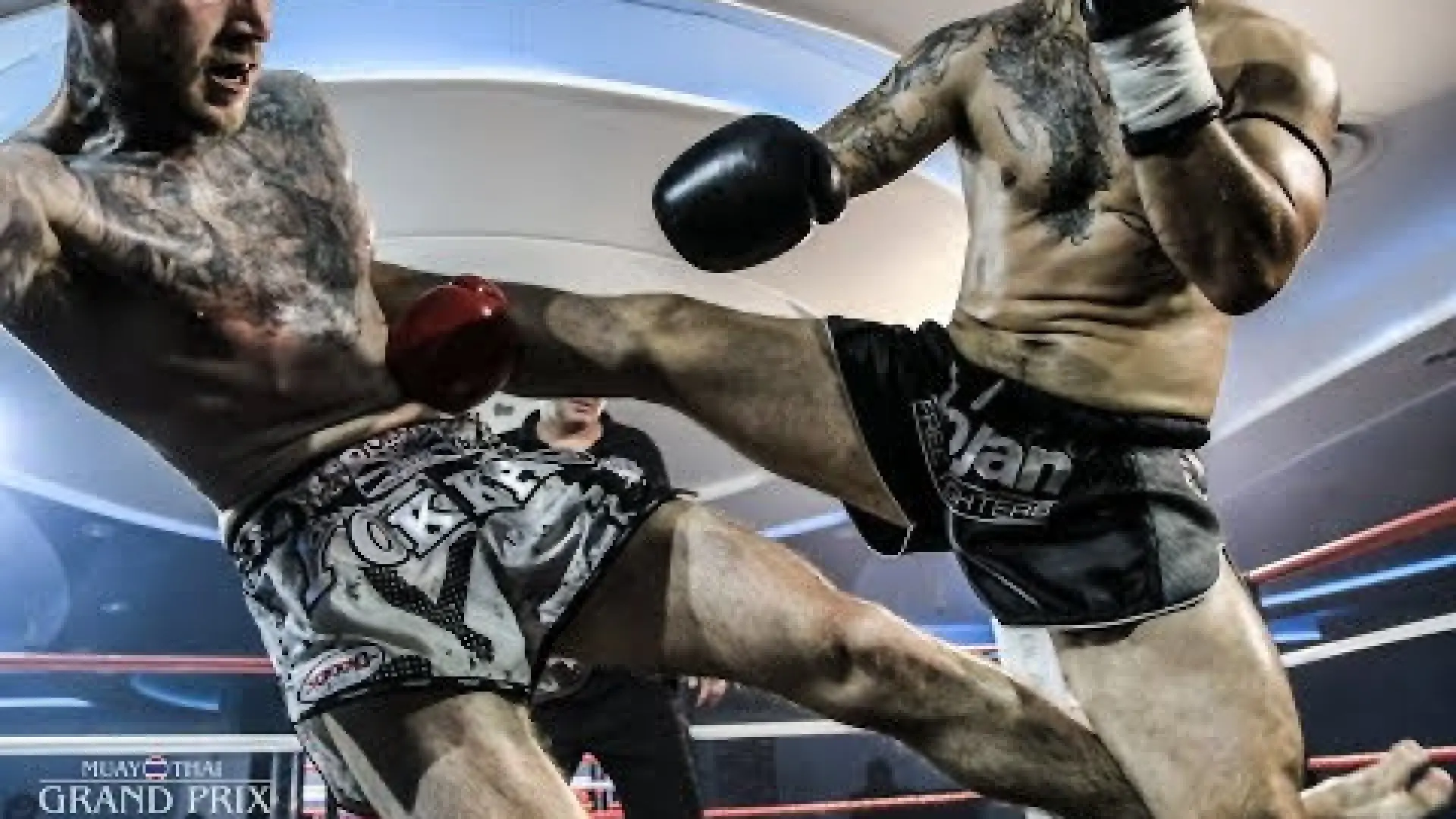 Louis Evans vs Timmy Beard (Fight Video)