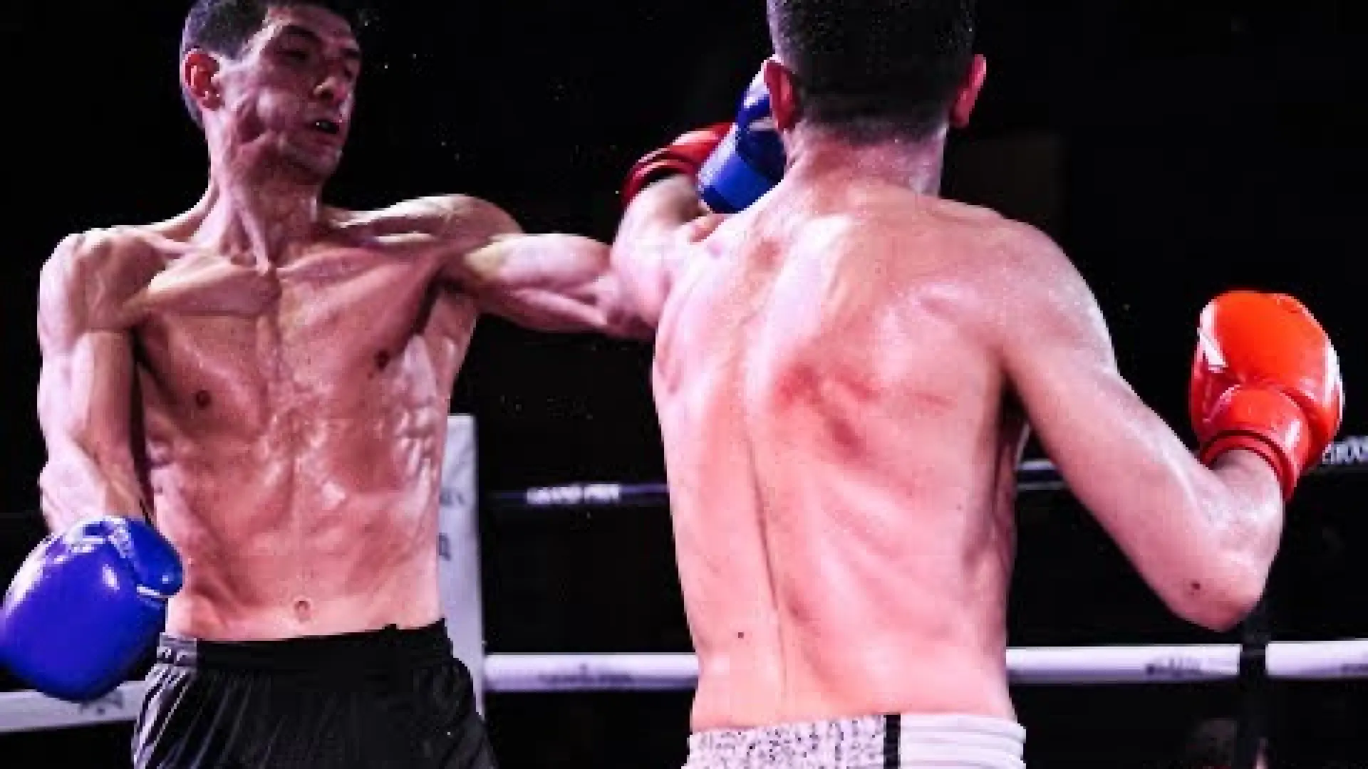 William Dryden vs Yiannis Kaltabanopoulos (Fight Video)