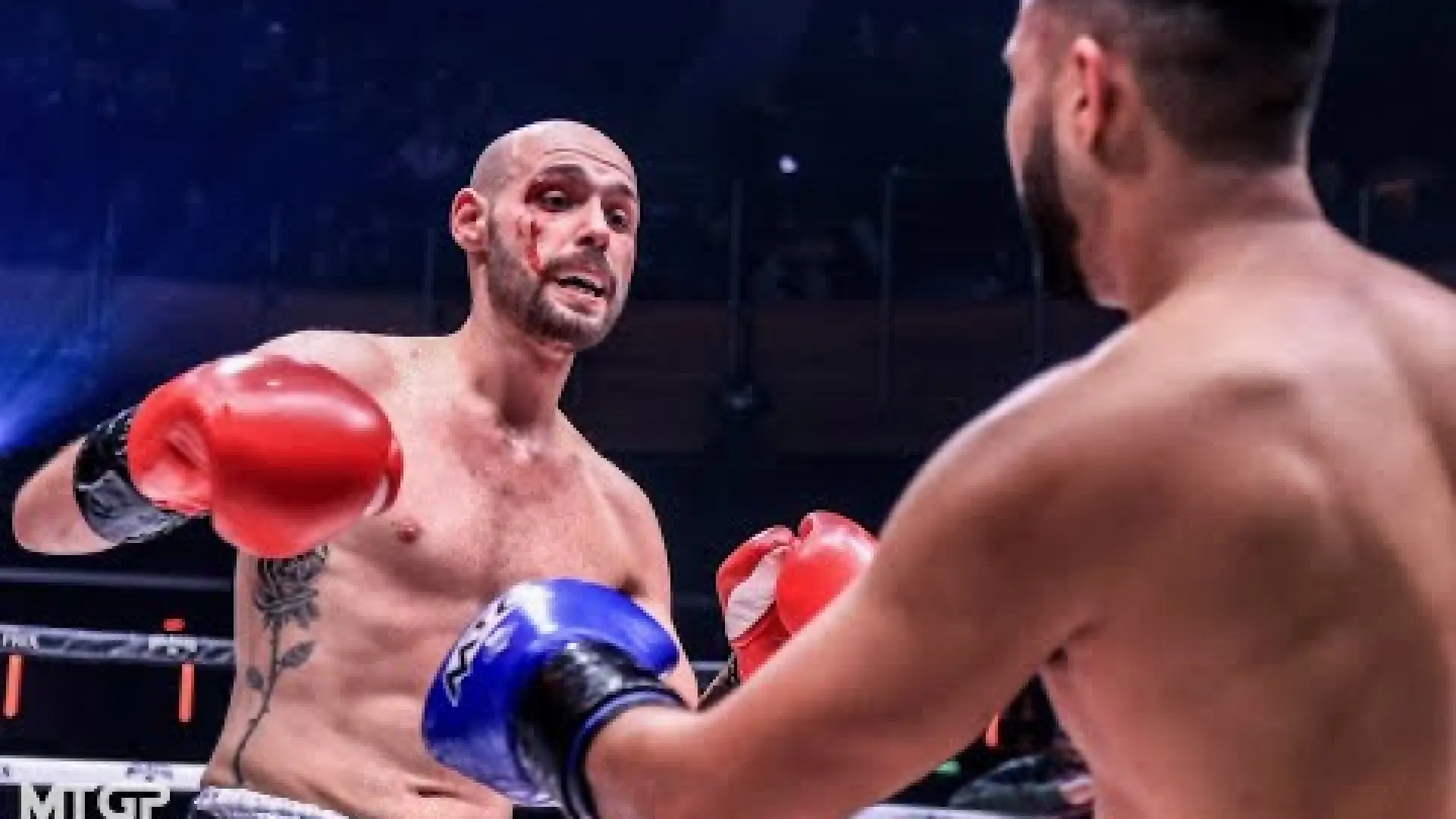 Edwin Cox vs Tom Hines (Fight Video)
